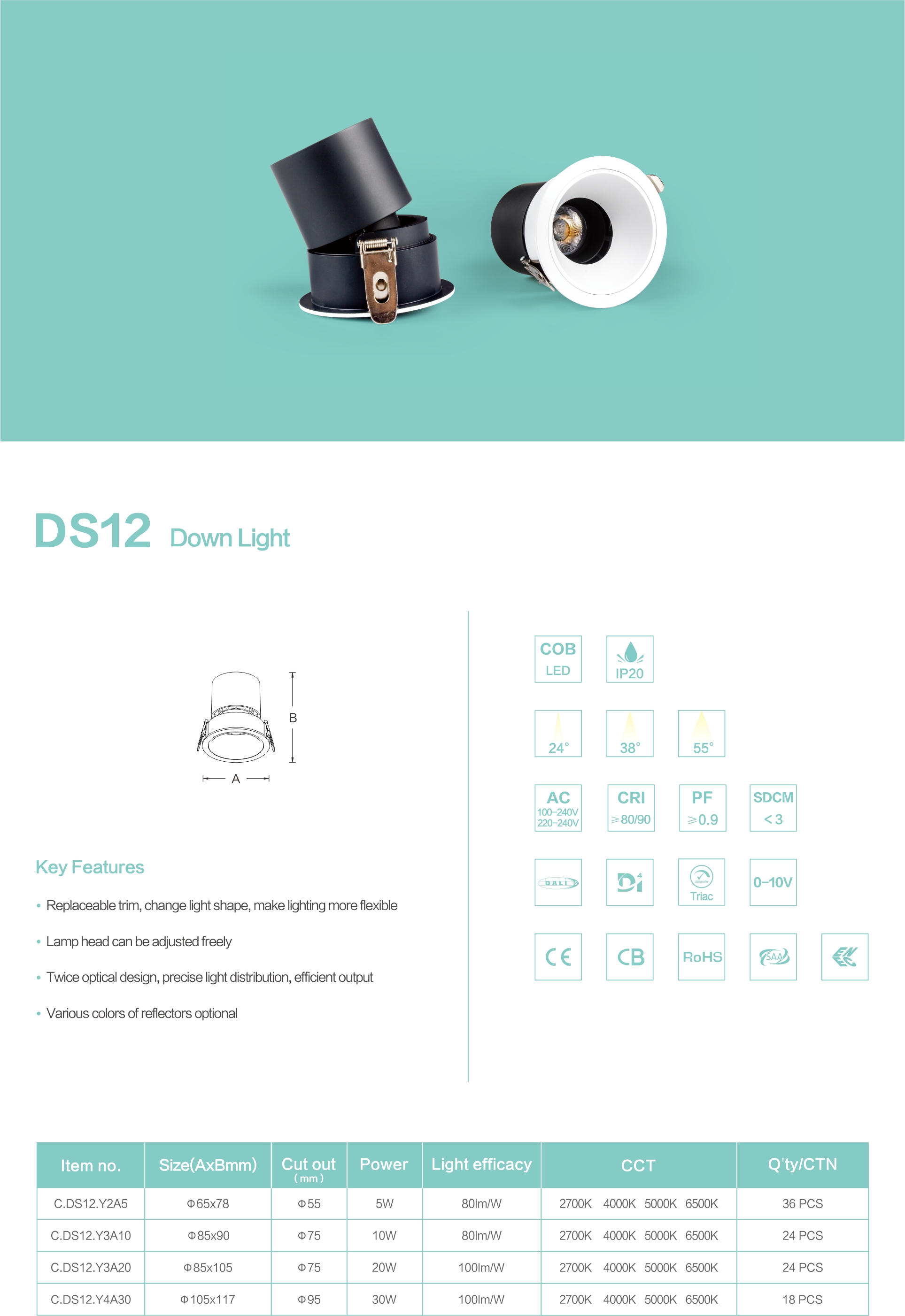 DS12製品详情